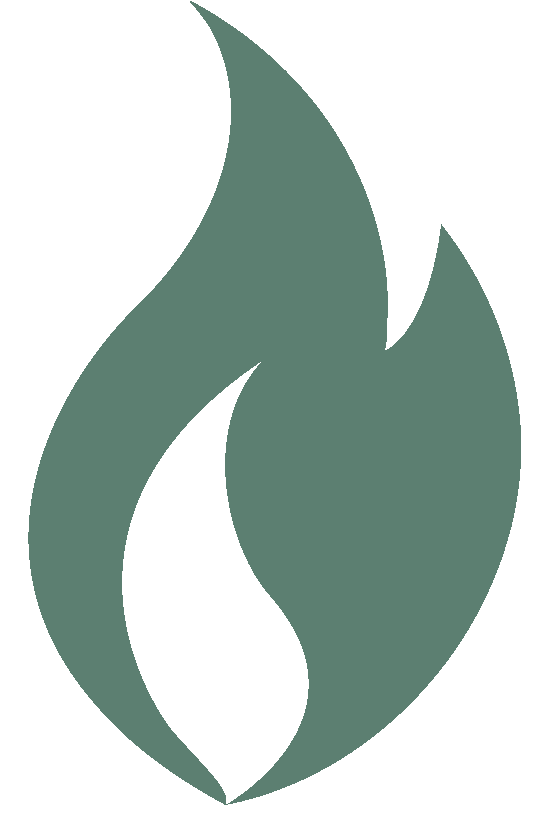 Green flame icon representing TIKI Brand’s outdoor fire and lighting products.
