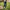 Woman using a black metal stake installer tool in grassy yard; tool features a foot pedal for easy ground insertion.