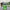 Green glass oil lamp with flame, outdoor setting.